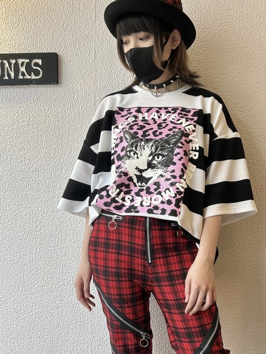 CATボーダービッグTシャツ